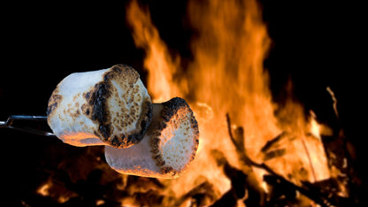 S'mores